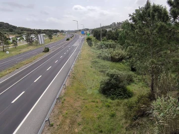 Terreno para Venda em São João da Ribeira e Ribeira de São João