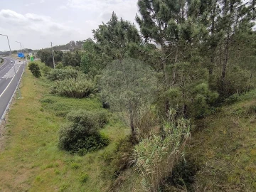Terreno para Venda em São João da Ribeira e Ribeira de São João
