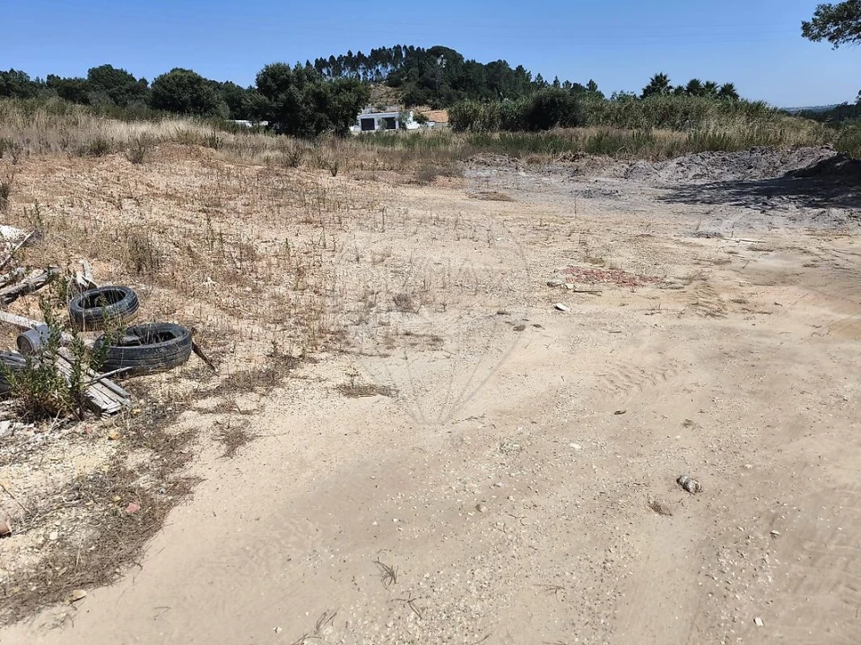 Terreno para Venda em São João da Ribeira e Ribeira de São João Foto 26