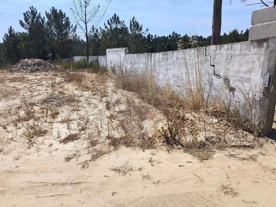 Terreno para Venda em São João da Ribeira e Ribeira de São João Foto 27