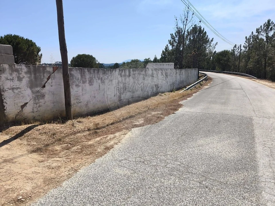 Terreno para Venda em São João da Ribeira e Ribeira de São João Foto 19