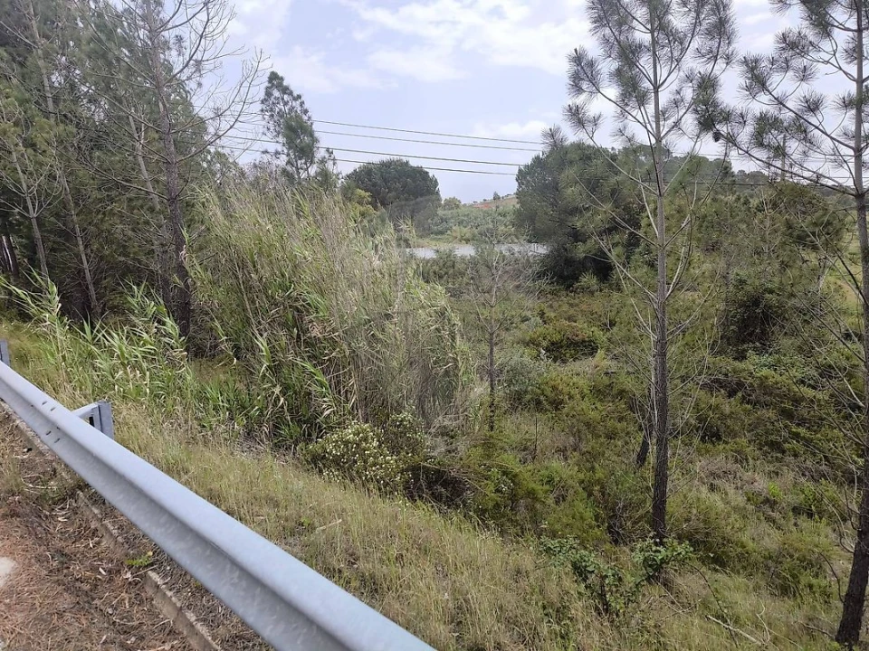 Terreno para Venda em São João da Ribeira e Ribeira de São João Foto 15