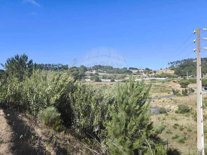 Terreno para Venda em São João da Ribeira e Ribeira de São João Foto 31