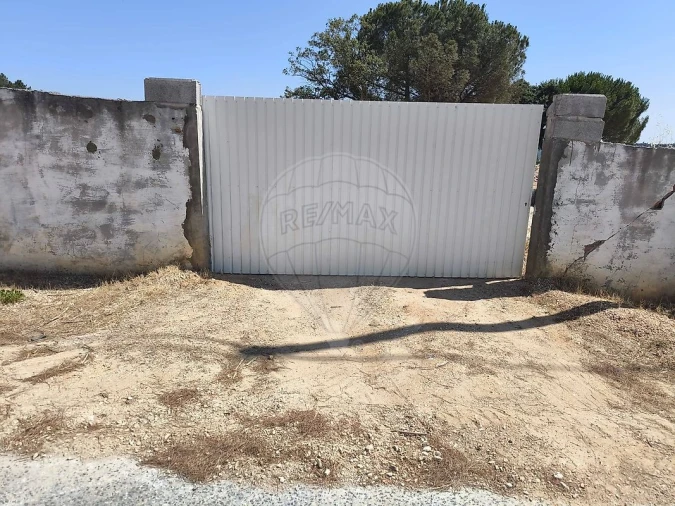 Terreno para Venda em São João da Ribeira e Ribeira de São João Foto 18