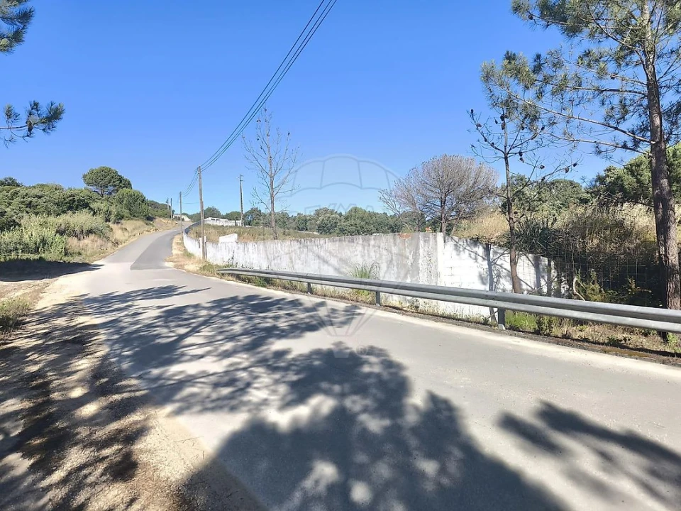 Terreno para Venda em São João da Ribeira e Ribeira de São João Foto 29