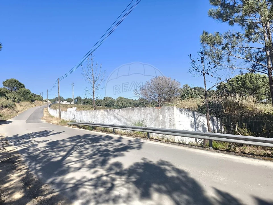 Terreno para Venda em São João da Ribeira e Ribeira de São João Foto 32