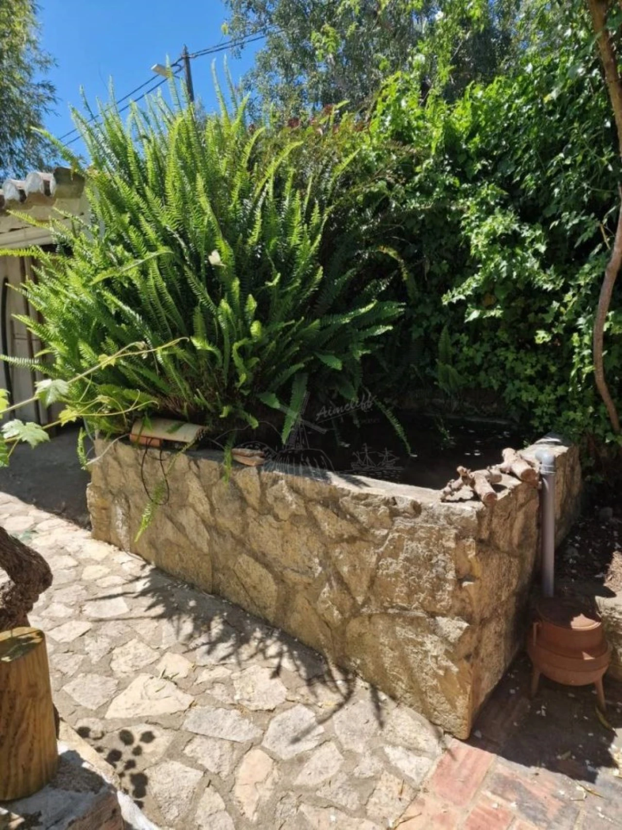 Quinta T4 para Venda em São Brás de Alportel Foto 43