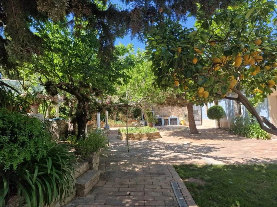 Quinta T4 para Venda em São Brás de Alportel Foto 50