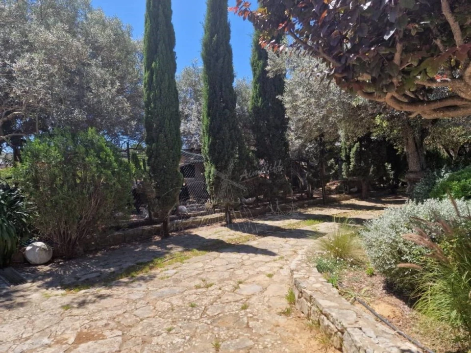 Quinta T4 para Venda em São Brás de Alportel Foto 59