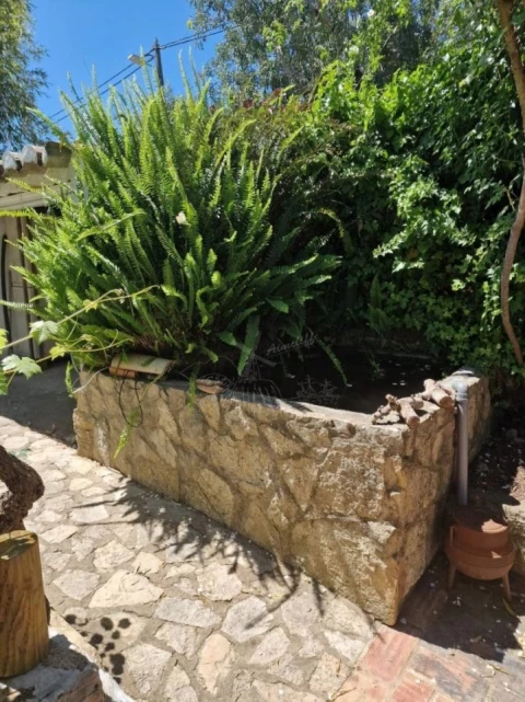 Quinta T4 para Venda em São Brás de Alportel