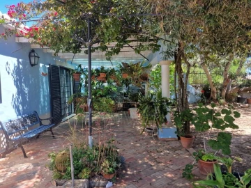 Quinta T4 para Venda em São Brás de Alportel