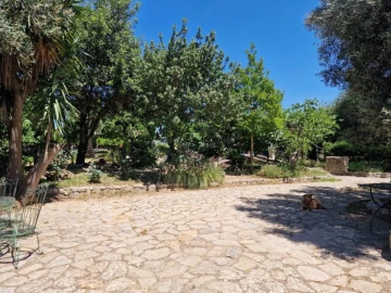 Quinta T4 para Venda em São Brás de Alportel