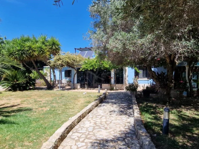 Quinta T4 para Venda em São Brás de Alportel Foto 47