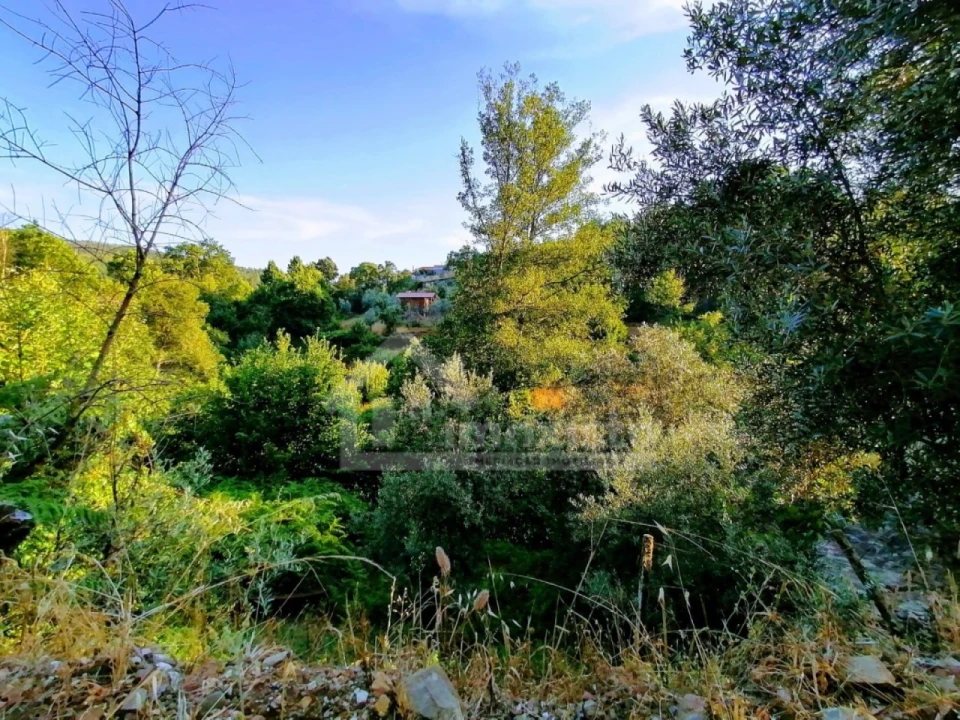 Quinta T1 para Venda em Campelo Foto 3