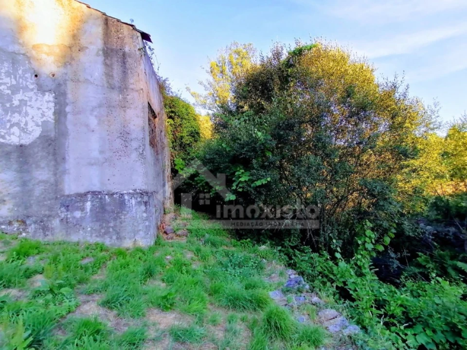 Quinta T1 para Venda em Campelo Foto 6