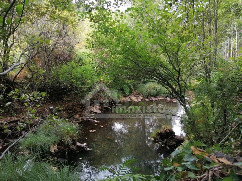 Quinta T1 para Venda em Campelo Foto 16