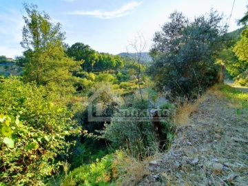 Quinta T1 para Venda em Campelo