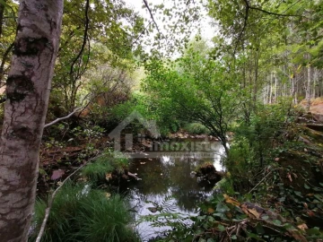 Quinta T1 para Venda em Campelo