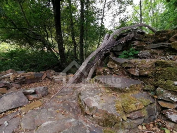 Quinta T1 para Venda em Campelo