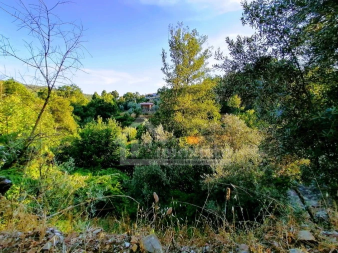 Quinta T1 para Venda em Campelo Foto 3