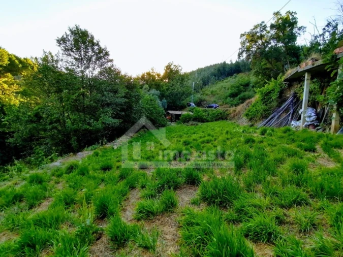 Quinta T1 para Venda em Campelo Foto 5