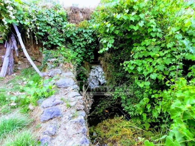 Quinta T1 para Venda em Campelo Foto 9