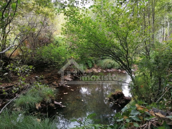 Quinta T1 para Venda em Campelo Foto 16