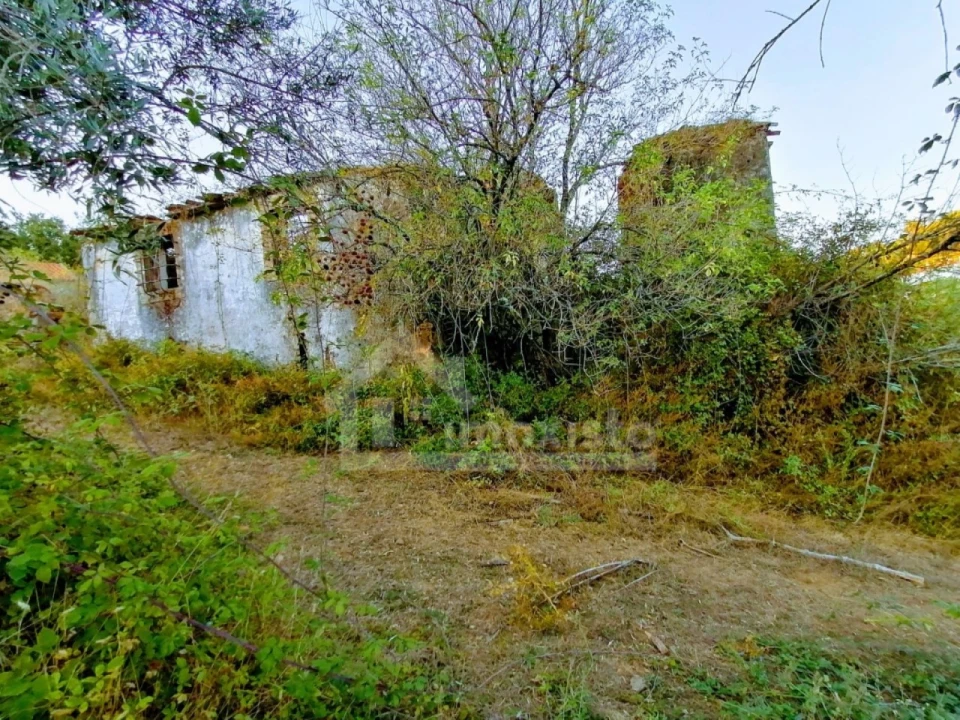 Moradia T1 para Venda em Pedrogão Grande Foto 3