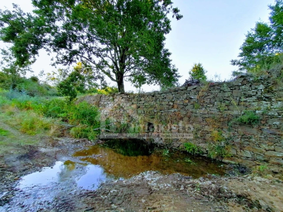 Moradia T1 para Venda em Pedrogão Grande Foto 6