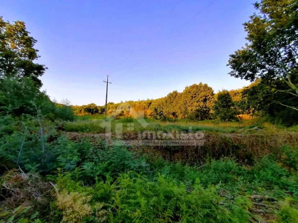 Moradia T1 para Venda em Pedrogão Grande Foto 10