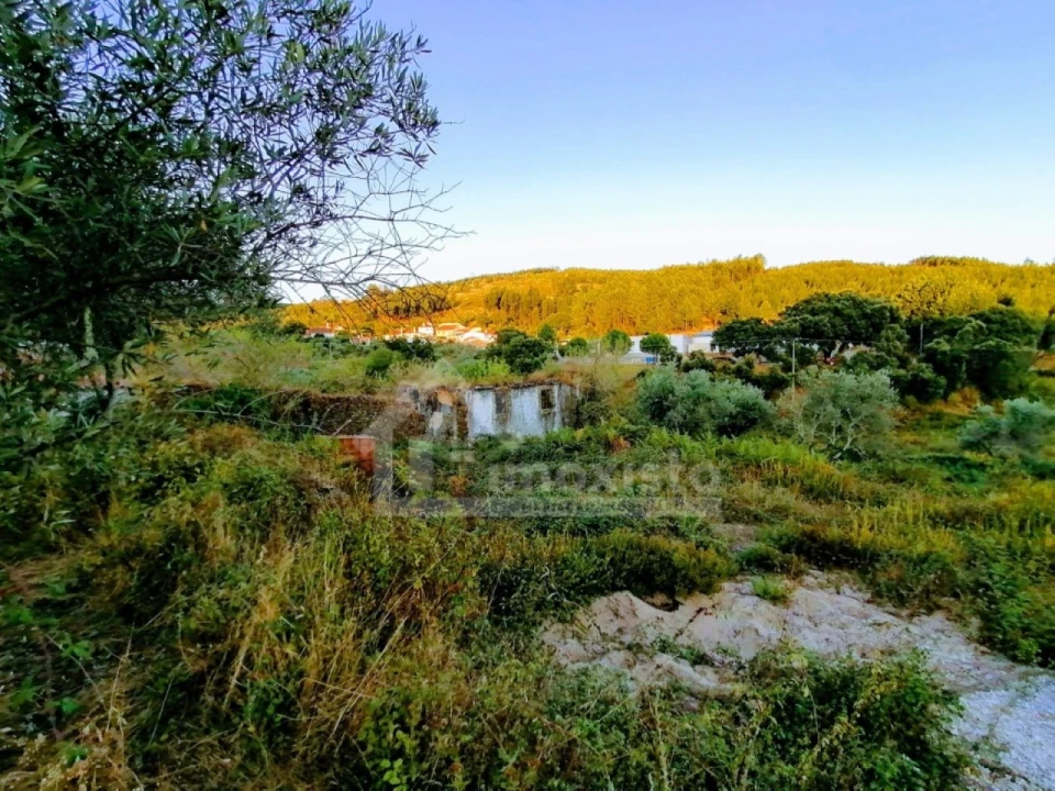 Moradia T1 para Venda em Pedrogão Grande Foto 19