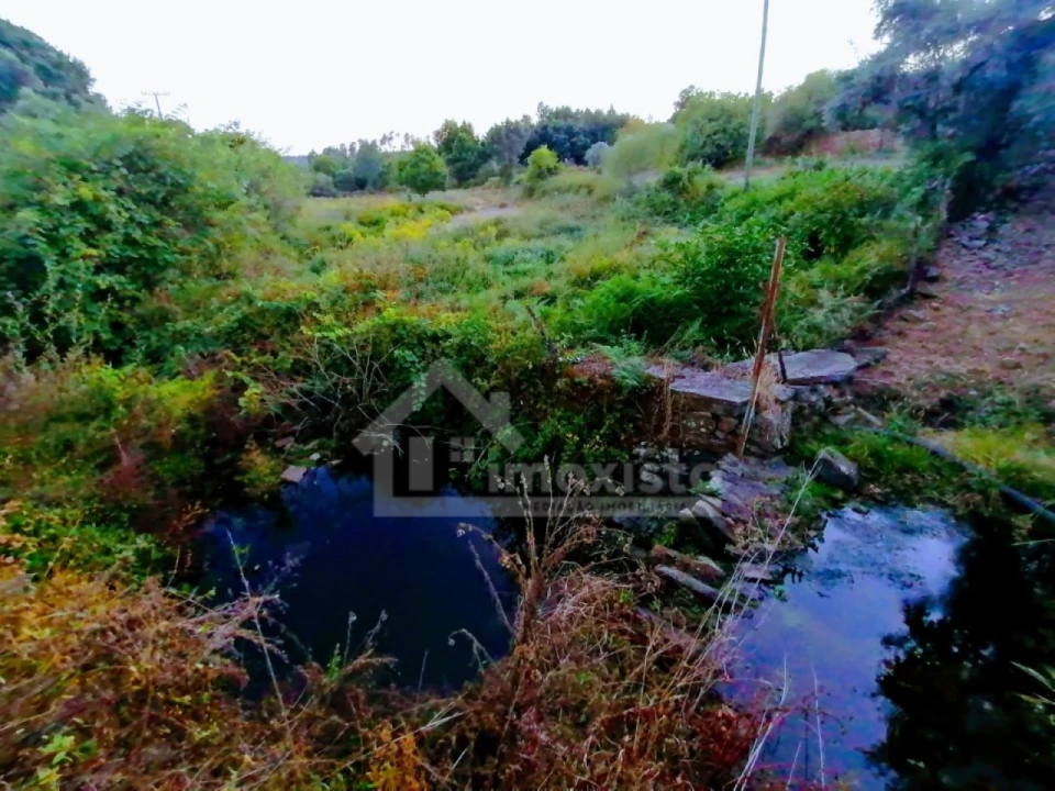 Moradia T1 para Venda em Pedrogão Grande Foto 28