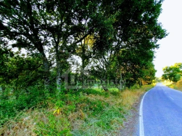 Moradia T1 para Venda em Pedrogão Grande