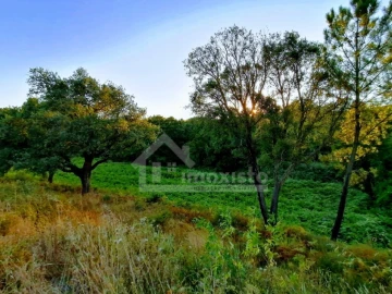 Moradia T1 para Venda em Pedrogão Grande