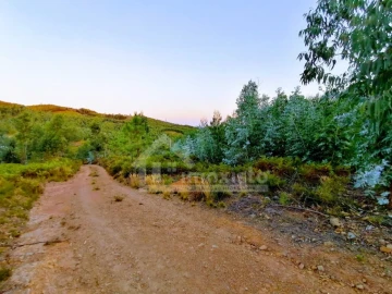 Moradia T1 para Venda em Pedrogão Grande