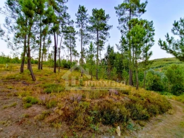 Moradia T1 para Venda em Pedrogão Grande