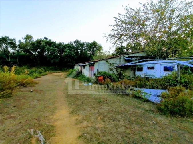 Moradia T1 para Venda em Pedrogão Grande Foto 5