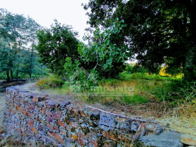 Moradia T1 para Venda em Pedrogão Grande Foto 7