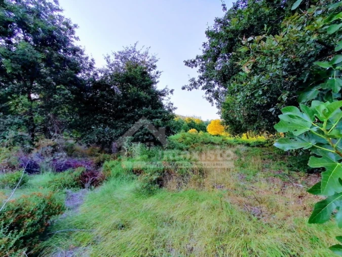 Moradia T1 para Venda em Pedrogão Grande Foto 8