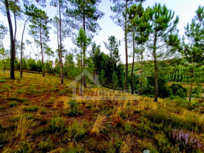 Moradia T1 para Venda em Pedrogão Grande Foto 25