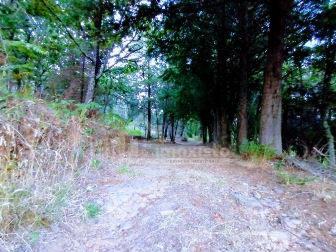 Moradia T1 para Venda em Pedrogão Grande Foto 26