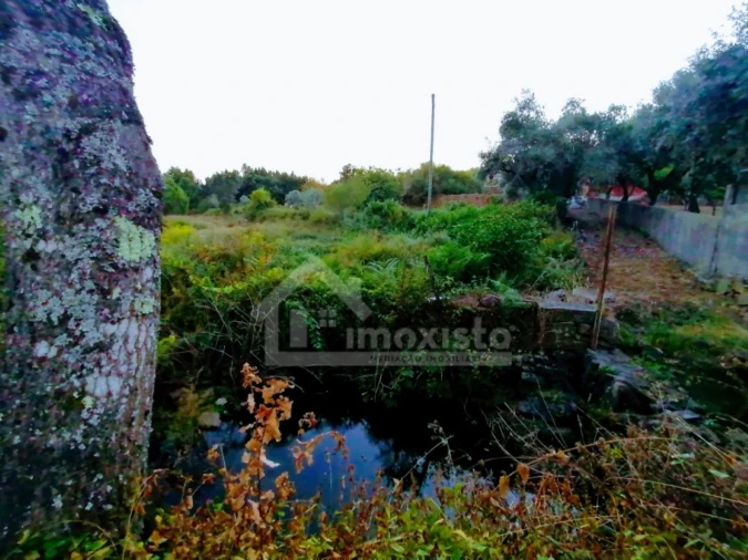 Moradia T1 para Venda em Pedrogão Grande Foto 27