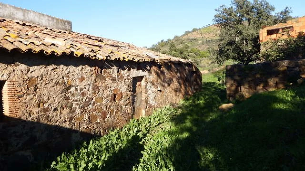 Quinta T5 para Venda em Santa Catarina da Fonte do Bispo Foto 6