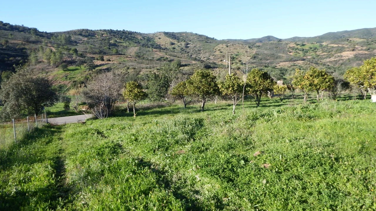 Quinta T5 para Venda em Santa Catarina da Fonte do Bispo Foto 7
