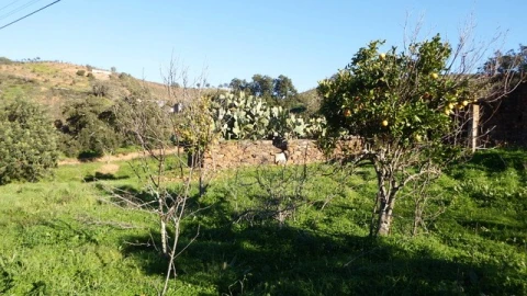 Quinta T5 para Venda em Santa Catarina da Fonte do Bispo