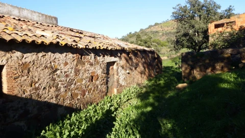 Quinta T5 para Venda em Santa Catarina da Fonte do Bispo