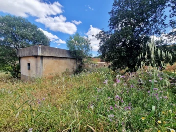 Quinta T5 para Venda em Santa Catarina da Fonte do Bispo