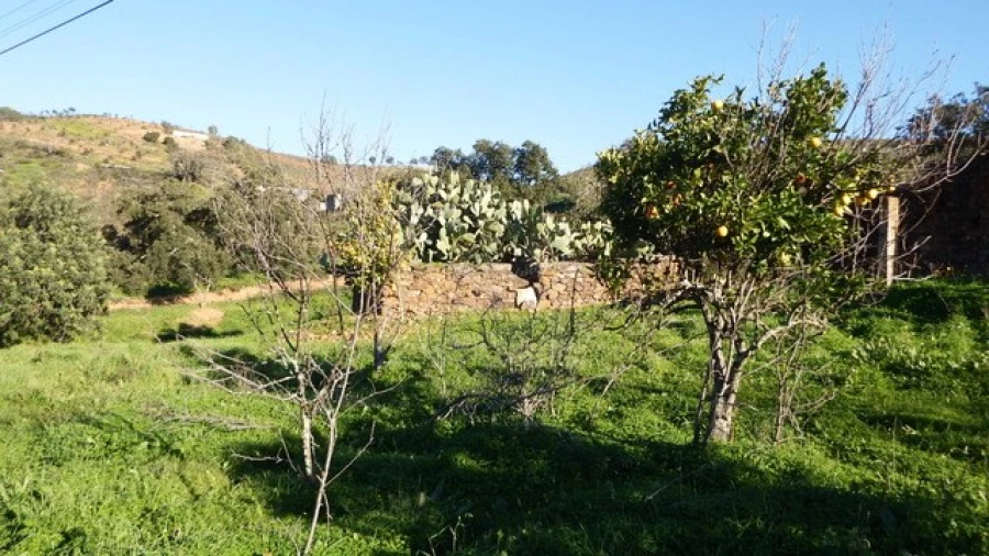 Quinta T5 para Venda em Santa Catarina da Fonte do Bispo Foto 9