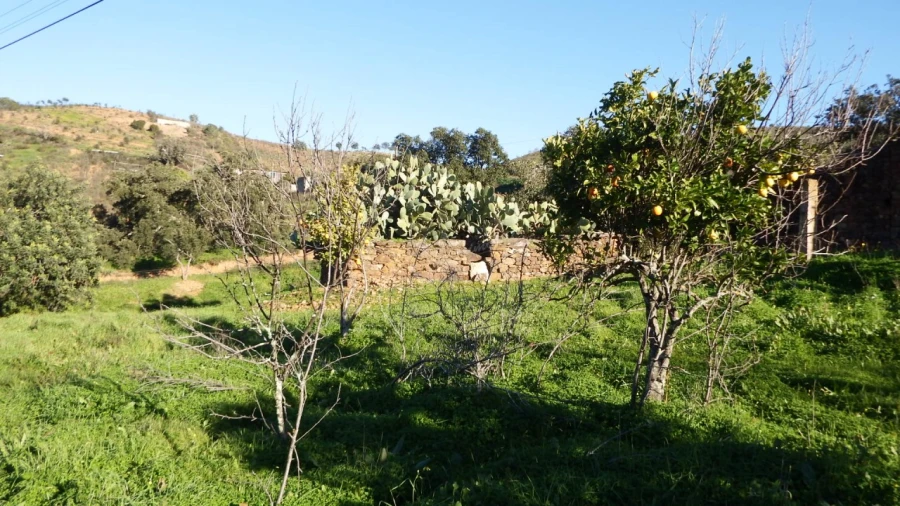 Quinta T5 para Venda em Santa Catarina da Fonte do Bispo Foto 3