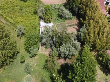 Moradia para Venda em Figueiró dos Vinhos e Bairradas